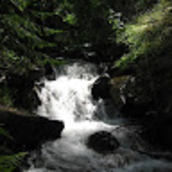 Meet your Posher, Roma - Picture 1 of 1